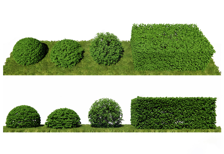 图片[7]-园林景观庭院植物花草树木绿篱乔木花卉灌木丛草图大师SU模型-刷子库