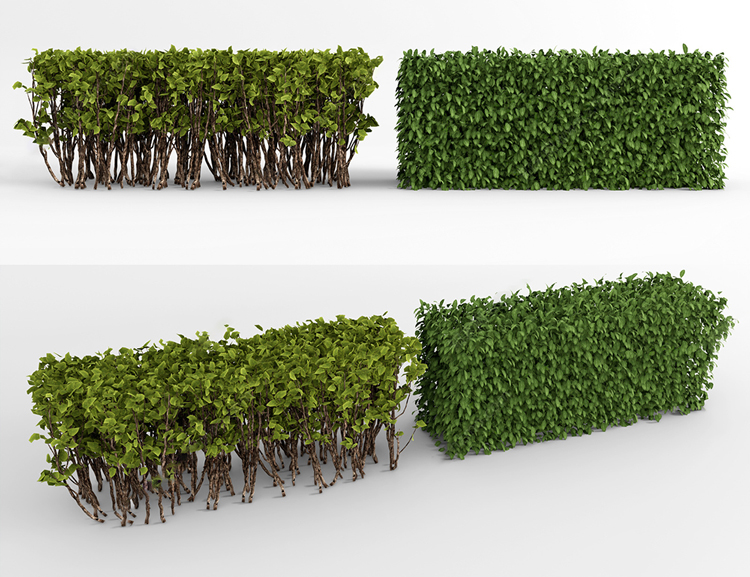 图片[9]-园林景观庭院植物花草树木绿篱乔木花卉灌木丛草图大师SU模型-刷子库