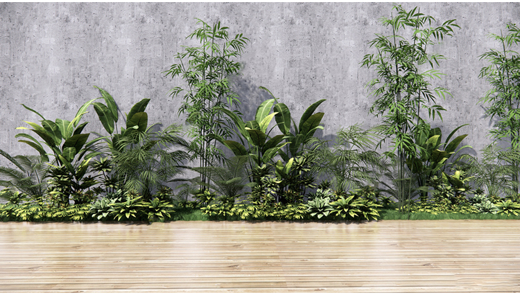 图片[10]-园林景观庭院植物花草树木绿篱乔木花卉灌木丛草图大师SU模型-刷子库