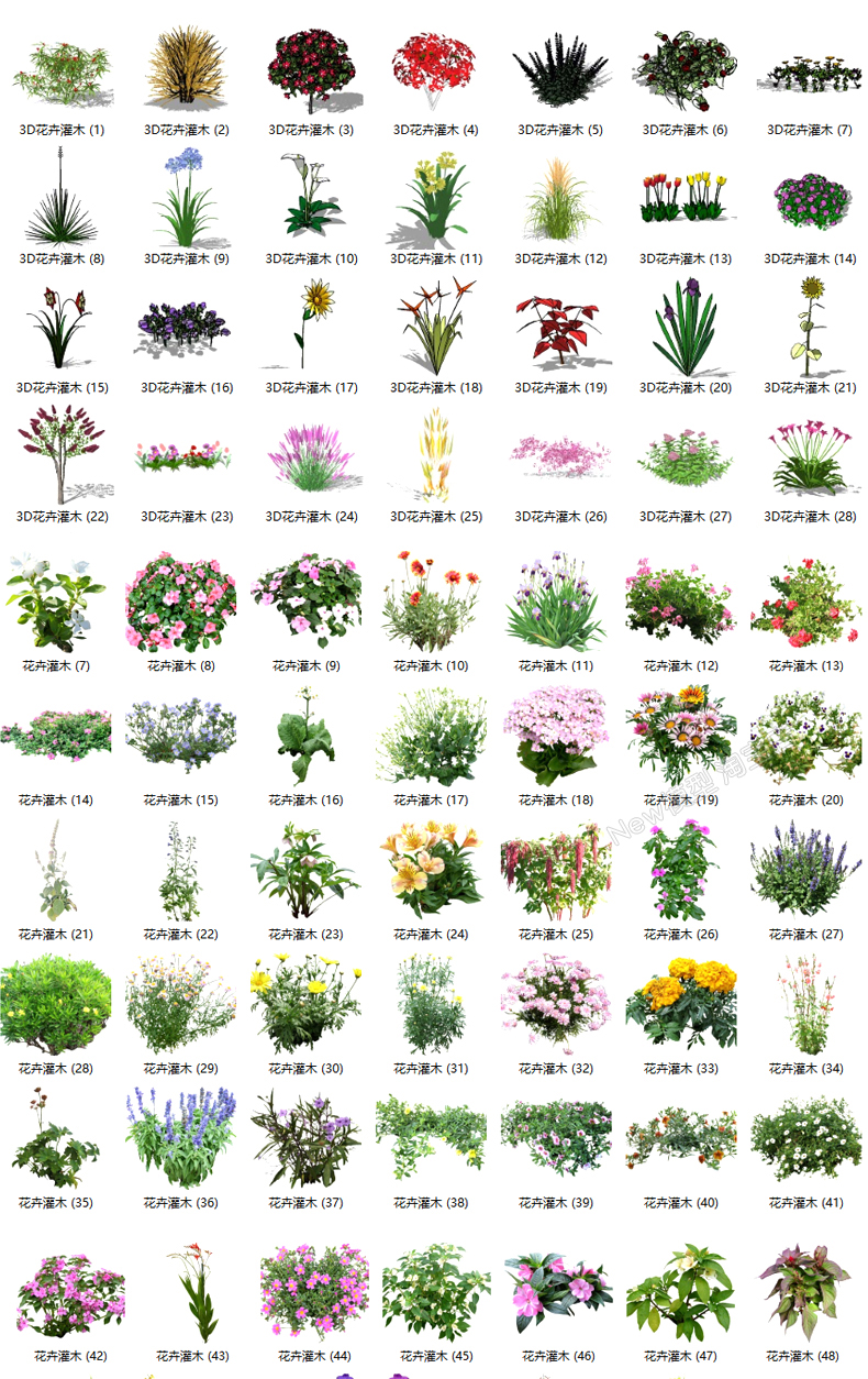 图片[12]-园林景观庭院植物花草树木绿篱乔木花卉灌木丛草图大师SU模型-刷子库