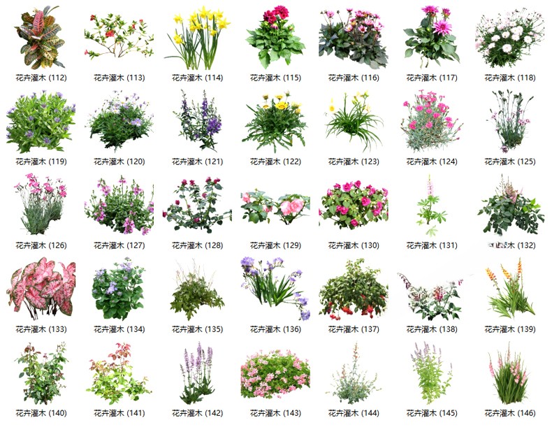 图片[14]-园林景观庭院植物花草树木绿篱乔木花卉灌木丛草图大师SU模型-刷子库