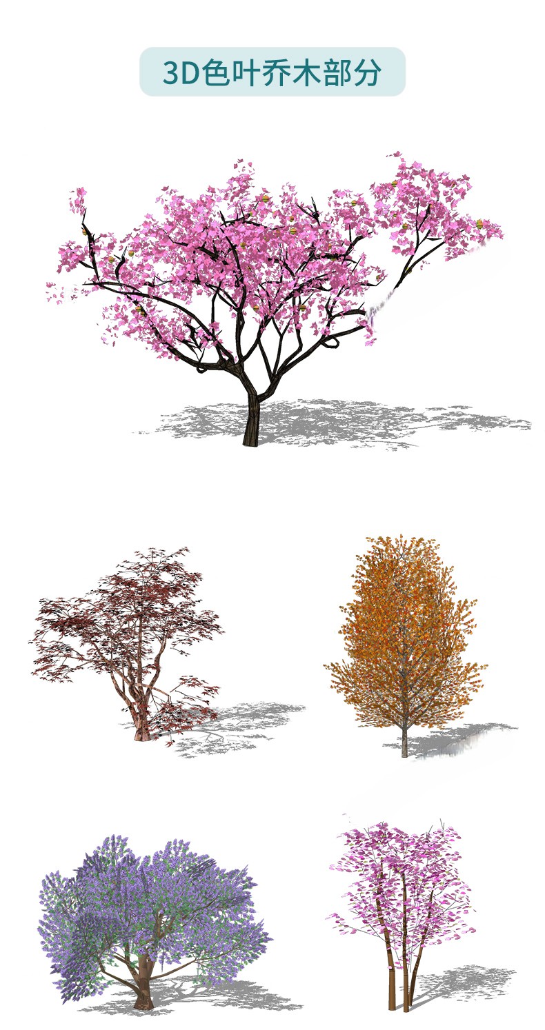 图片[22]-园林景观庭院植物花草树木绿篱乔木花卉灌木丛草图大师SU模型-刷子库