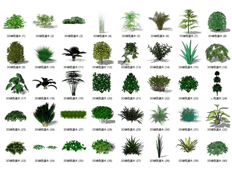 图片[27]-园林景观庭院植物花草树木绿篱乔木花卉灌木丛草图大师SU模型-刷子库