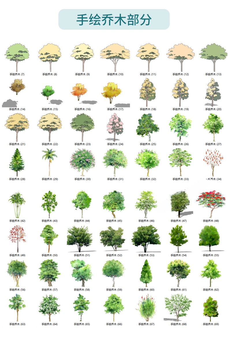 图片[30]-园林景观庭院植物花草树木绿篱乔木花卉灌木丛草图大师SU模型-刷子库