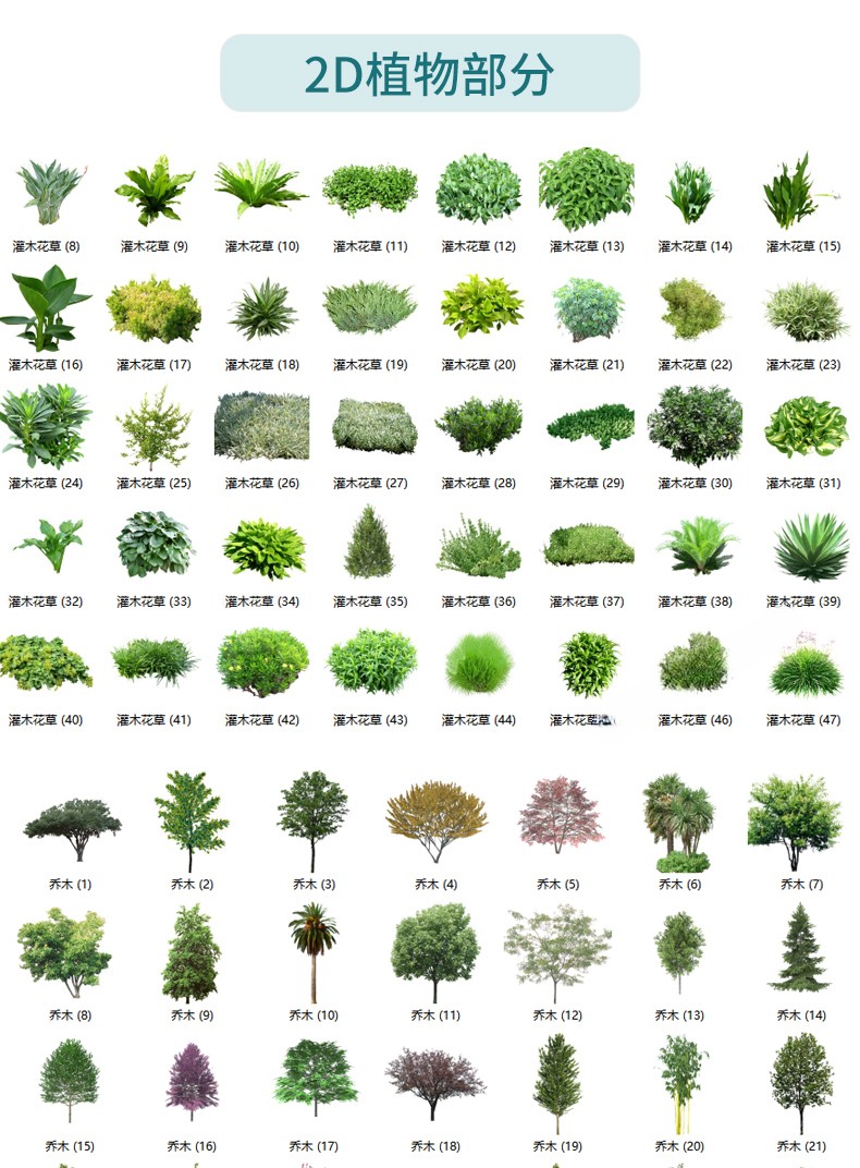 图片[31]-园林景观庭院植物花草树木绿篱乔木花卉灌木丛草图大师SU模型-刷子库