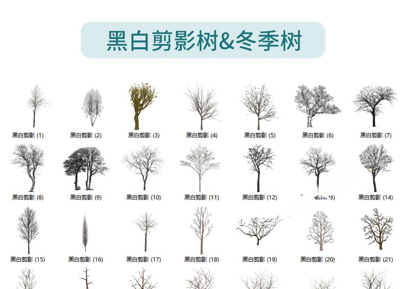 图片[33]-园林景观庭院植物花草树木绿篱乔木花卉灌木丛草图大师SU模型-刷子库