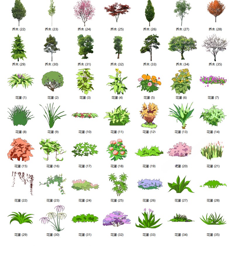 图片[32]-园林景观庭院植物花草树木绿篱乔木花卉灌木丛草图大师SU模型-刷子库