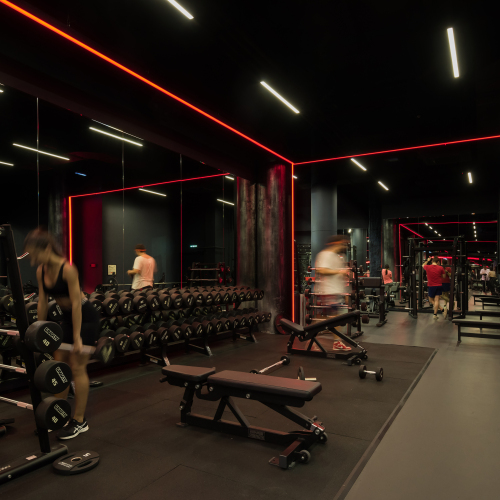 室内设计师资料库 国外工装篇 健身房(71)套-刷子库