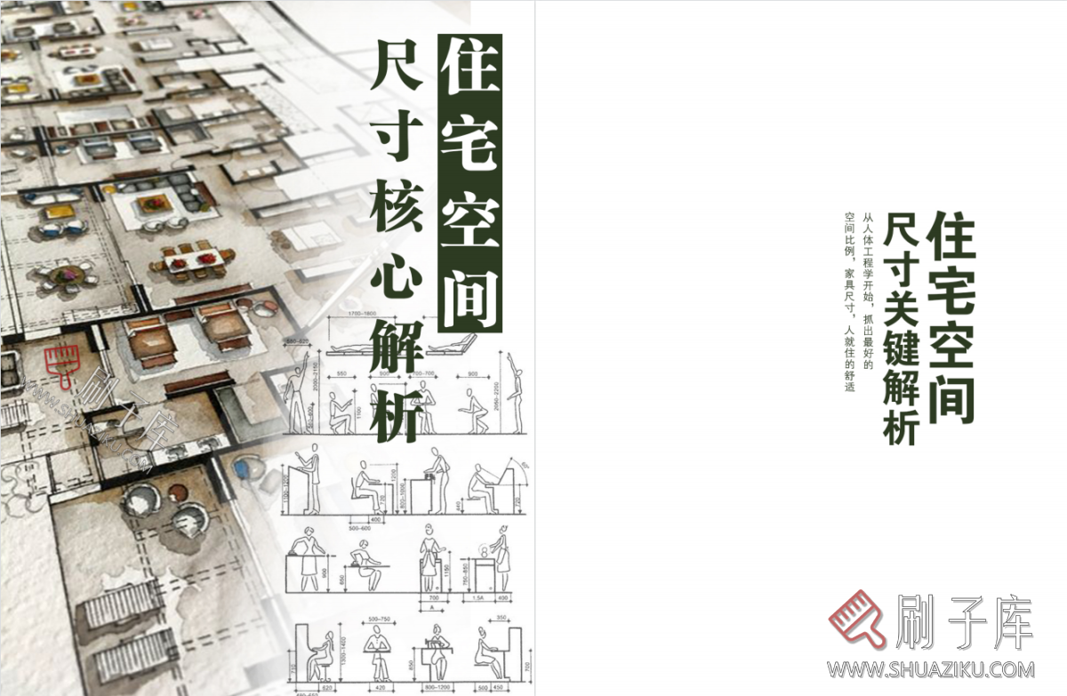 图片[1]-住宅空间尺寸关键解析+剖析全攻略-刷子库