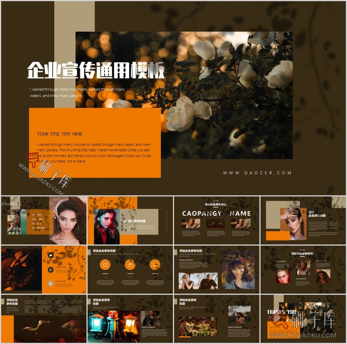 图片[66]-复古撞色系高级感PPT合集（68套）-刷子库