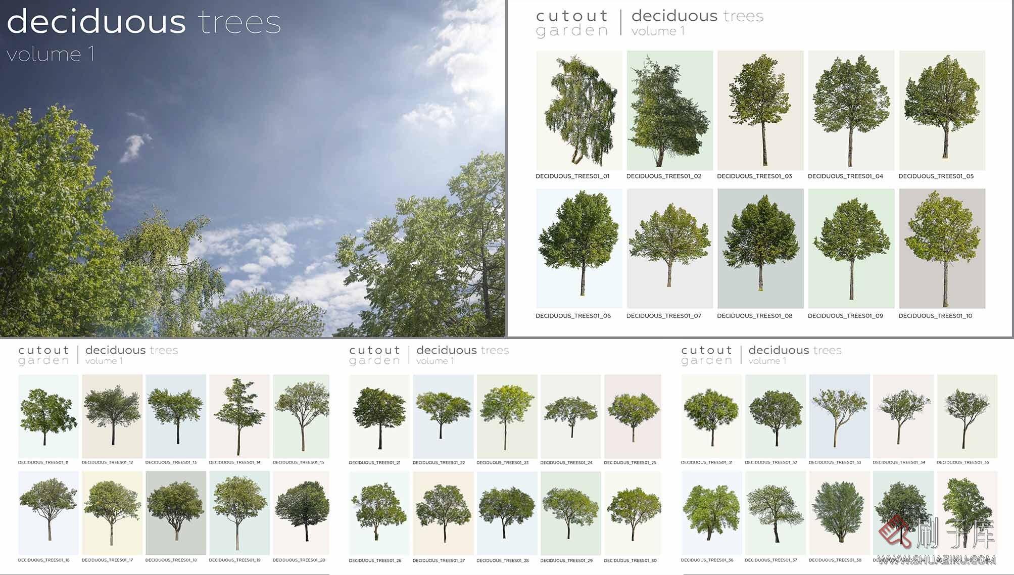 390个顶级效果图后期树合集,PSD+PNG+PDF/25G-6 390个顶级效果图后期树合集,PSD+PNG+PDF/25G-6