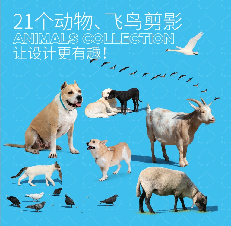 【高品质后期素材】21个动物飞鸟剪影-PSD-刷子库