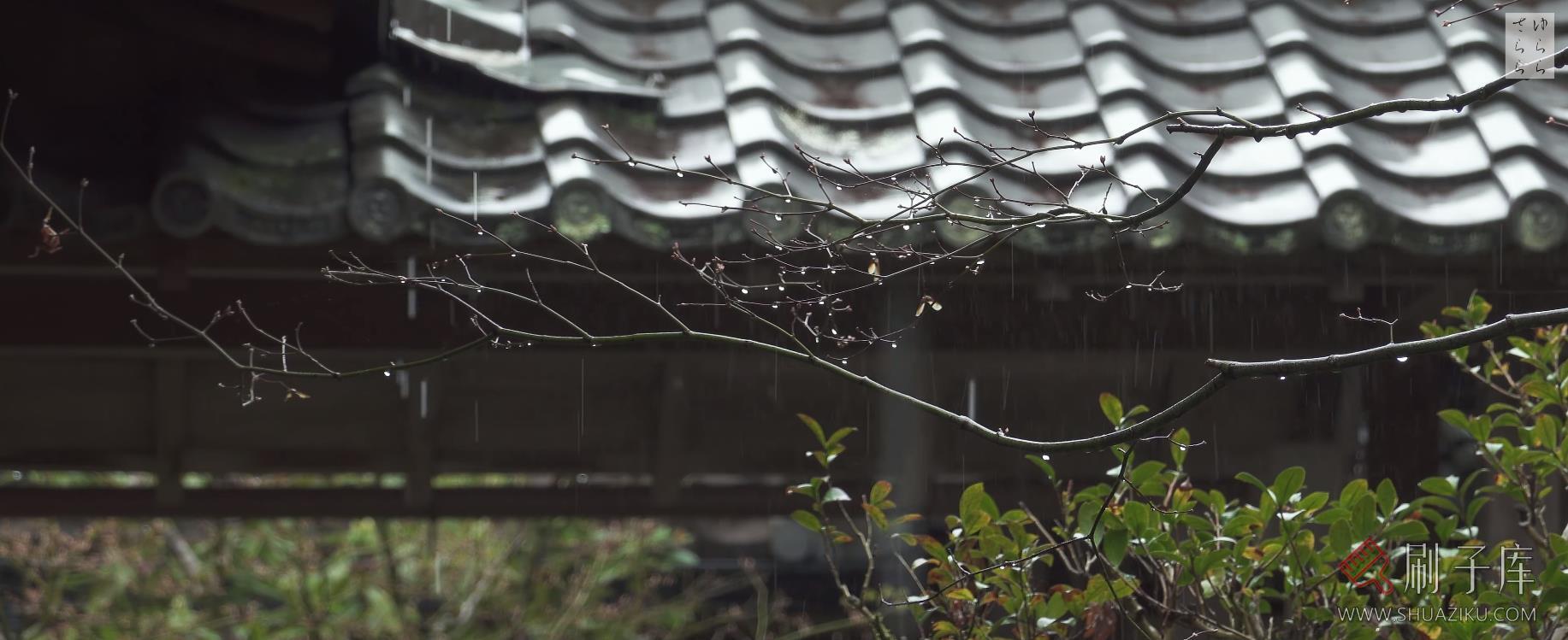 [4K]安楽寺・京都 ANRAKU-JI GARDEN-日式侘寂庭院-2