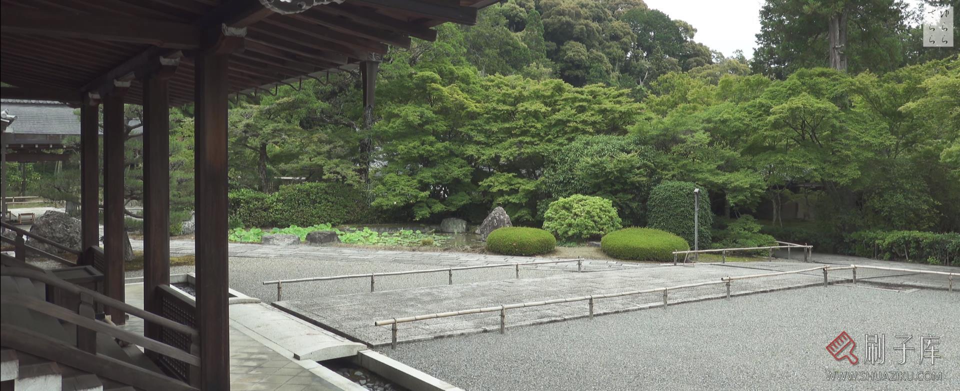 [4K]西芳寺 / 苔寺-日式侘寂·庭院-4
