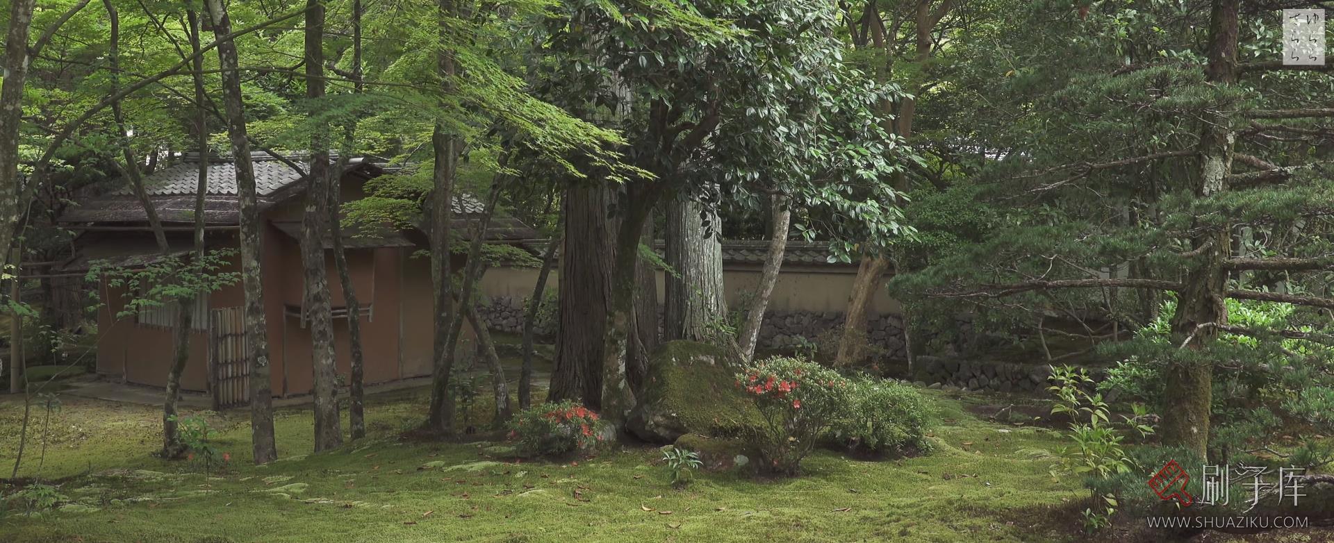 [4K]西芳寺 / 苔寺-日式侘寂·庭院-3