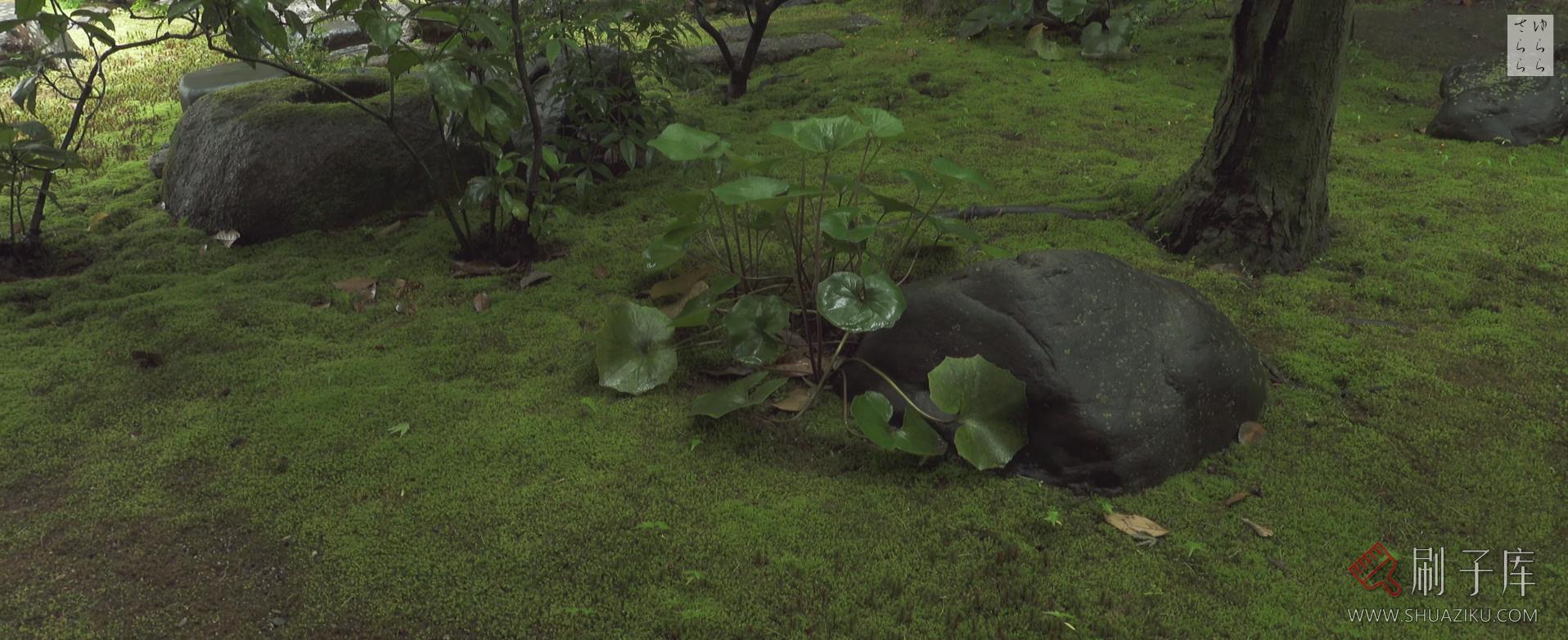 [4K]本法寺・京都-日式侘寂·庭院-2