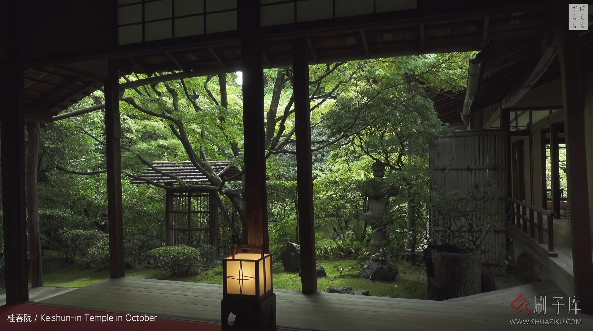 [4K] 青苔之美-京都庭院10选-2