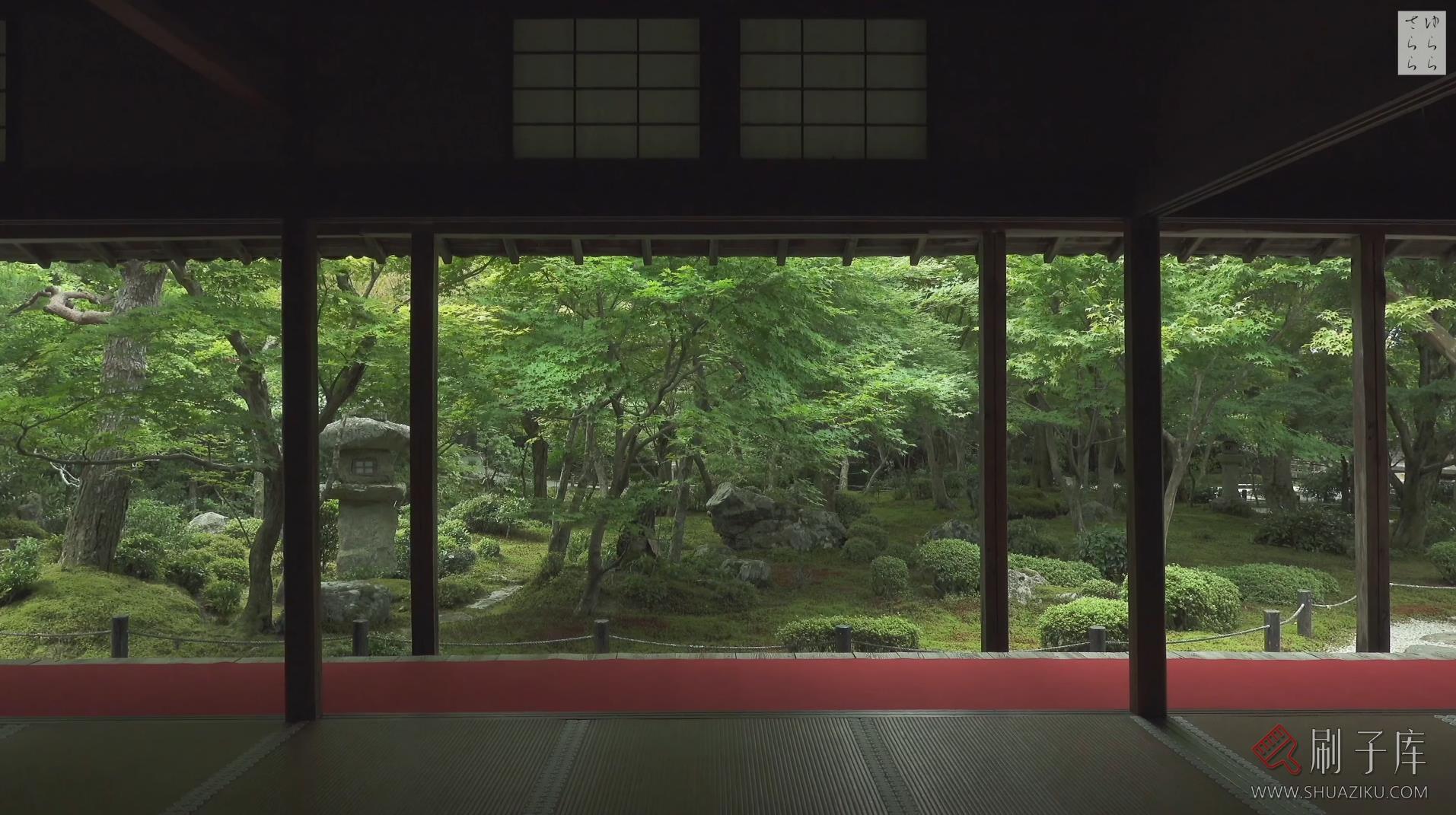 [4K] 青苔之美-京都庭院10选-4