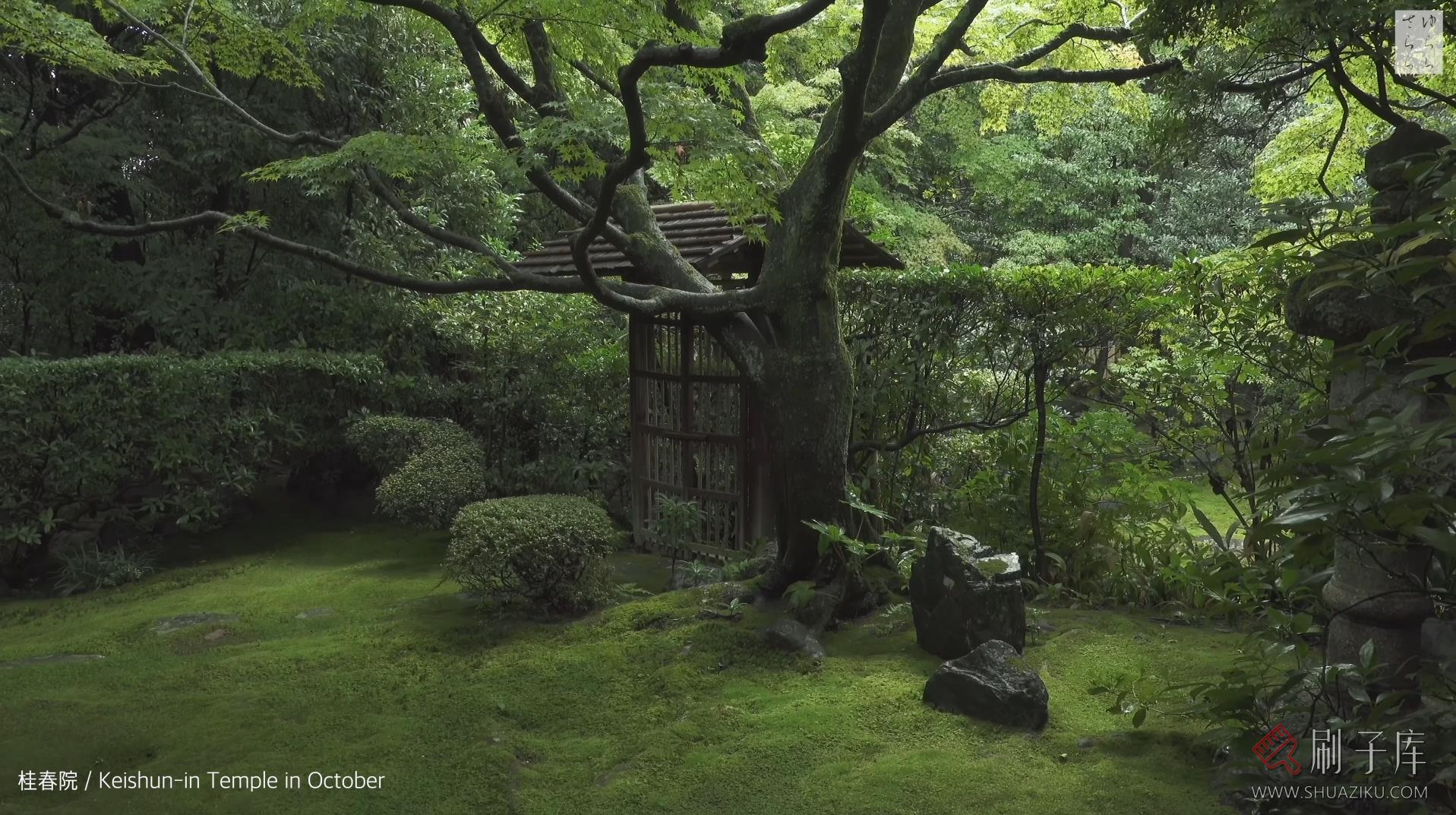 [4K] 青苔之美-京都庭院10选-刷子库