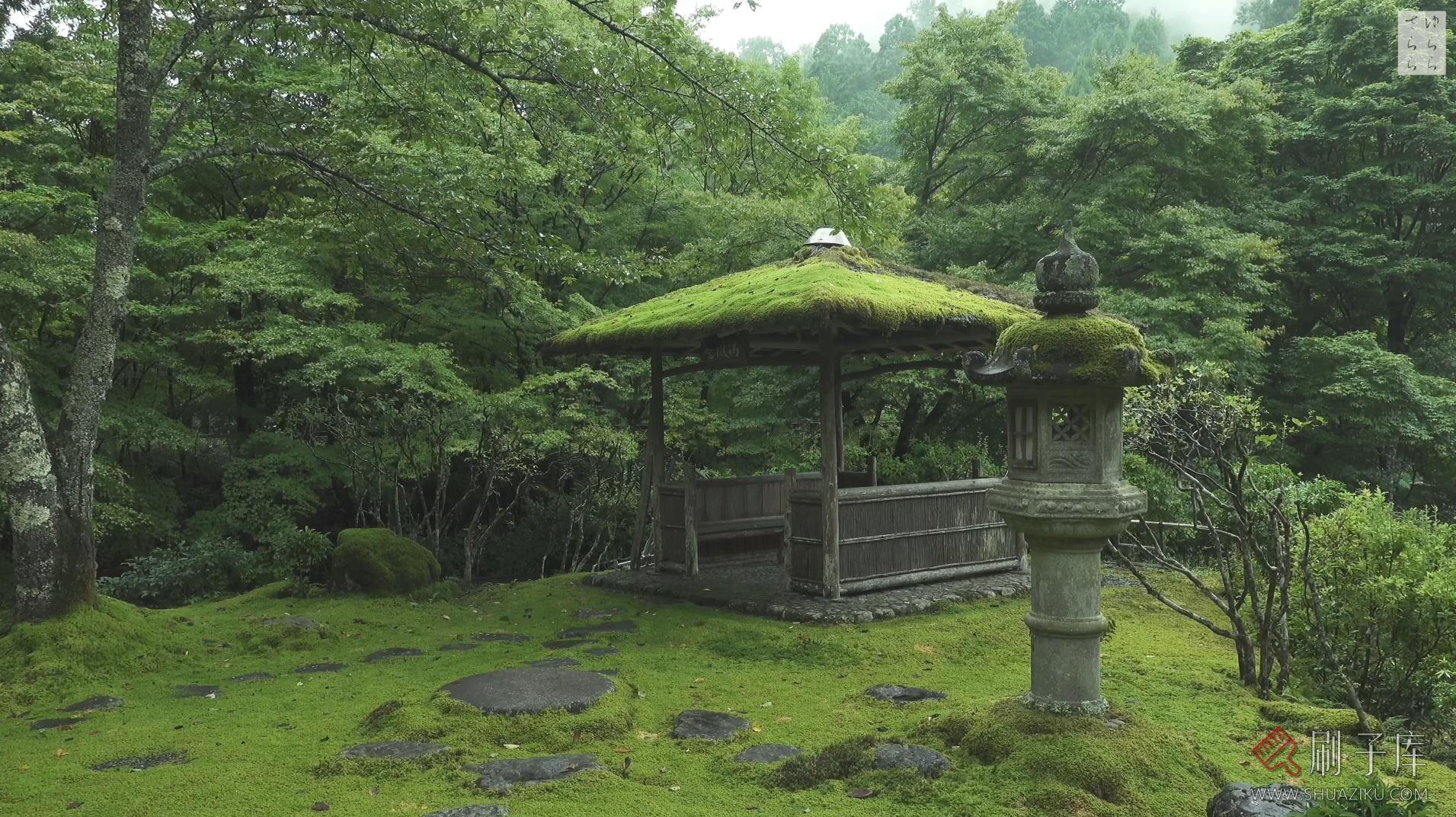 [4K] 青苔之美-京都庭院10选-8