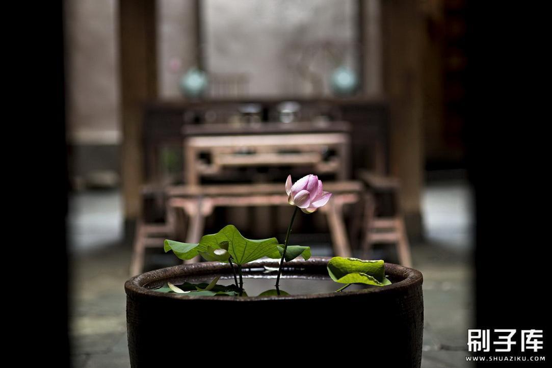 20231123122027164-shuaziku.com 刷子库 (6) (4)