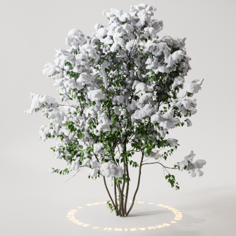 图片[9]-D5雪景植物模型22个-刷子库