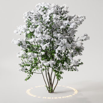 图片[11]-D5雪景植物模型22个-刷子库
