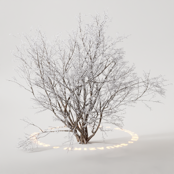 图片[21]-D5雪景植物模型22个-刷子库