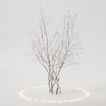 图片[22]-D5雪景植物模型22个-刷子库