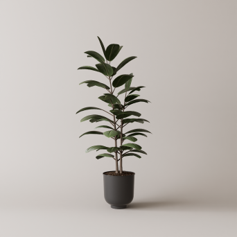 图片[1]-D5落地盆栽植物模型13个-刷子库
