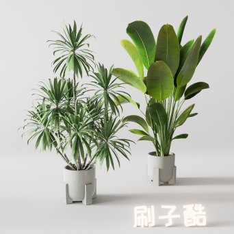 图片[16]-D5落地盆栽植物模型20个-刷子库