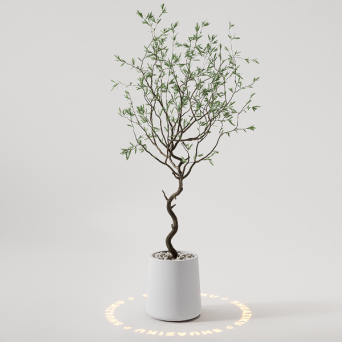 图片[20]-D5落地盆栽植物模型20个-刷子库