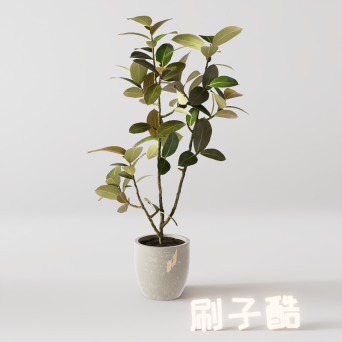 图片[18]-D5落地盆栽植物模型20个-刷子库