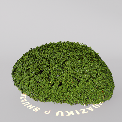 图片[13]-D5室外绿植树木模型20个-刷子库
