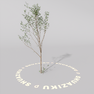 图片[17]-D5室外绿植树木模型20个-刷子库