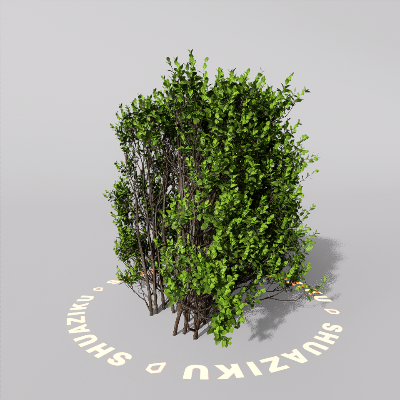 图片[14]-D5室外绿植树木模型20个-刷子库
