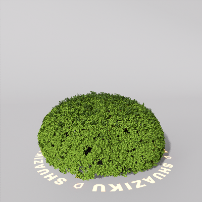 图片[1]-D5室外绿植树木模型20个-刷子库