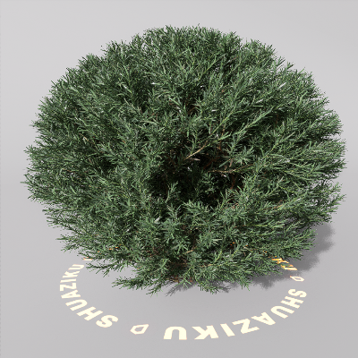 图片[19]-D5室外绿植树木模型20个-刷子库