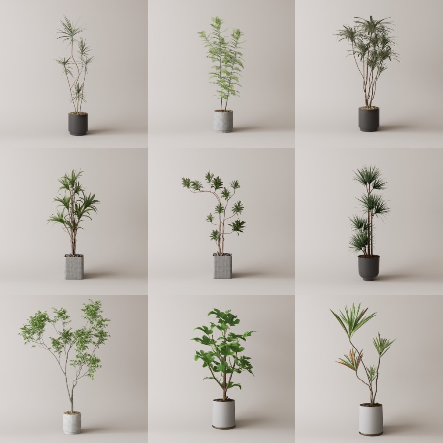 D5落地盆栽植物模型13个-刷子库