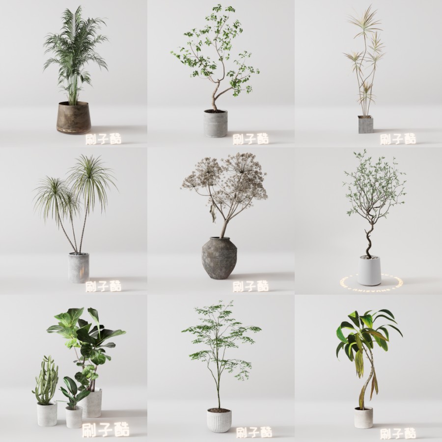 D5落地盆栽植物模型20个-刷子库