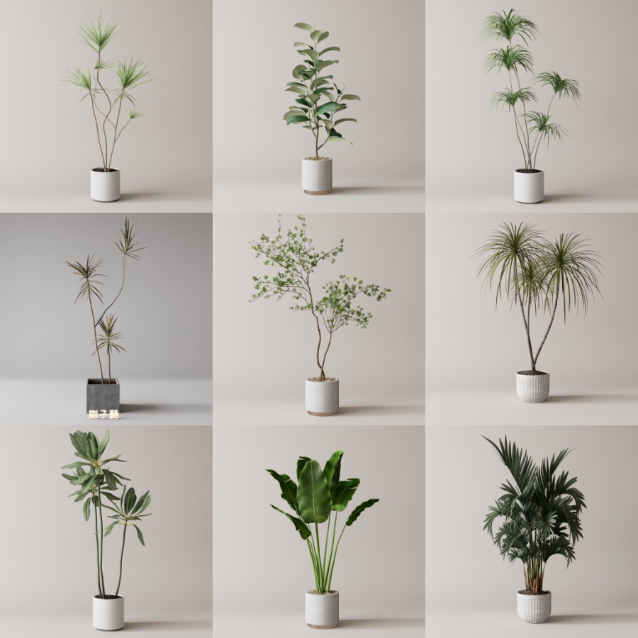 D5落地盆栽植物模型20个-刷子库