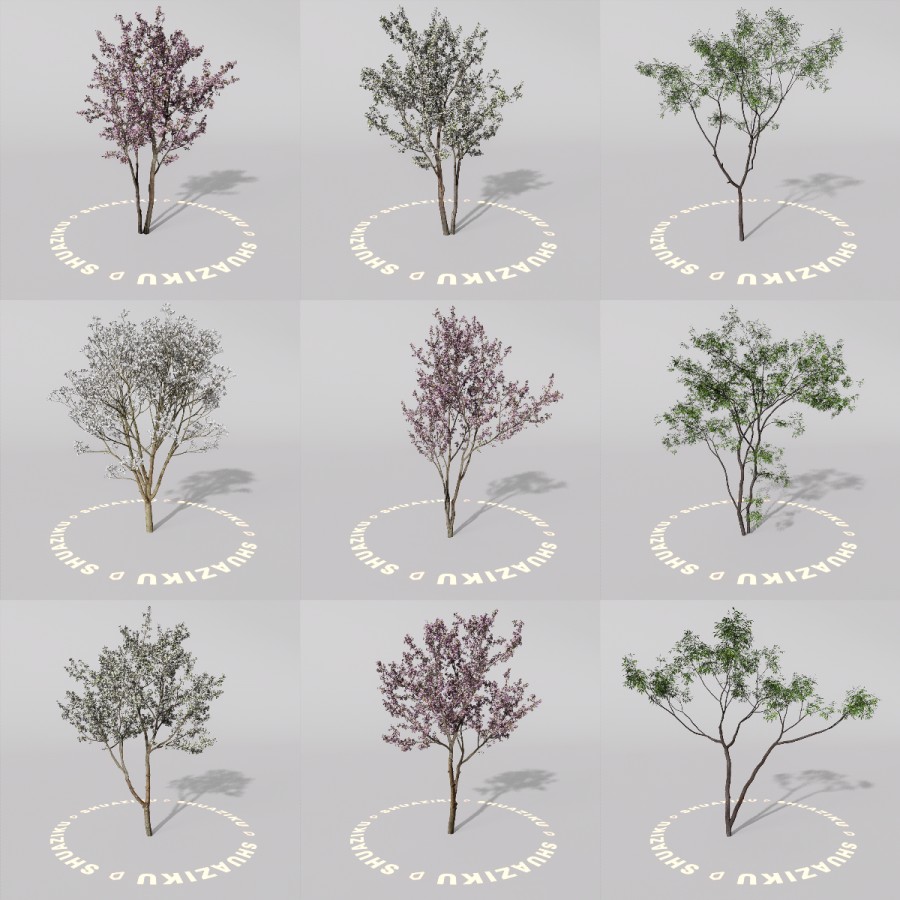 D5室外绿植树木模型20个-刷子库
