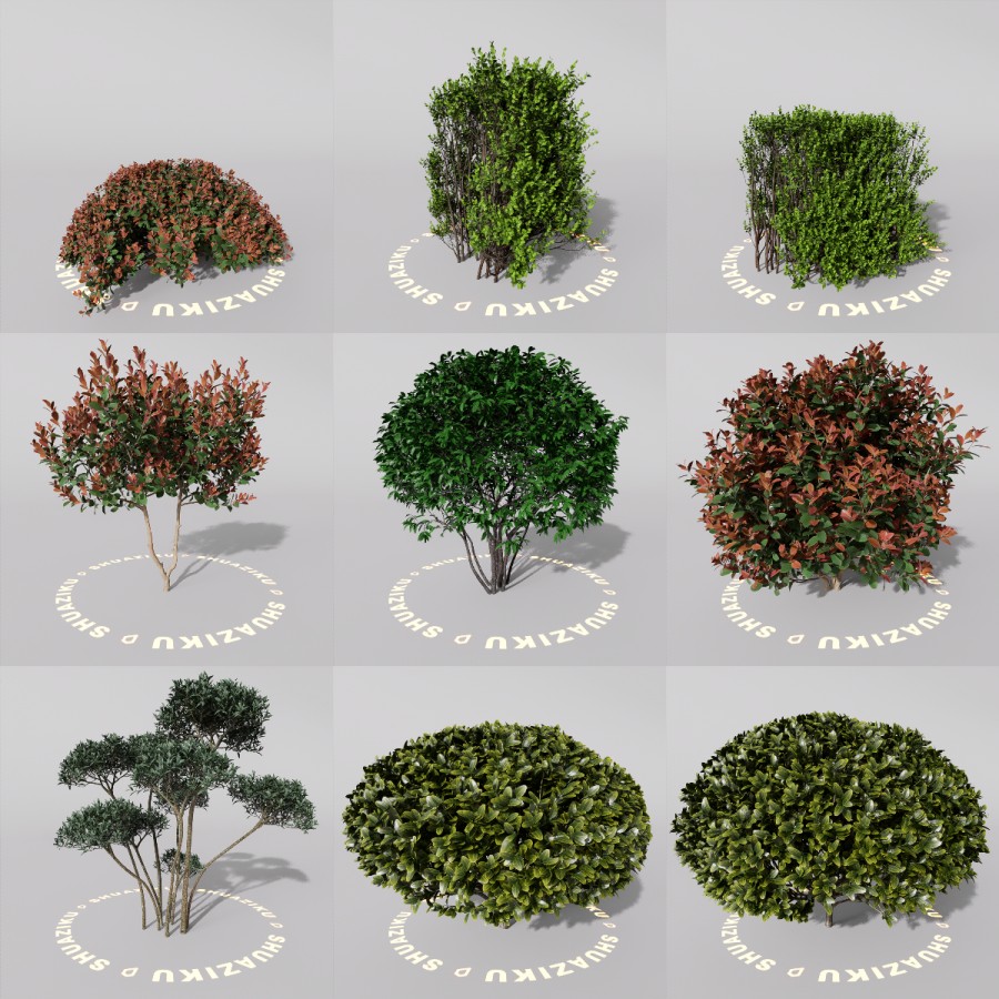 D5室外绿植树木模型20个-刷子库