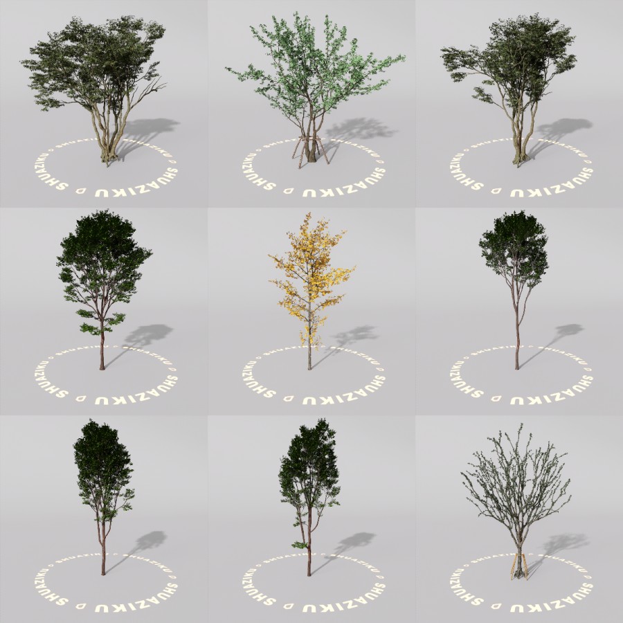 D5室外绿植树木模型20个-刷子库