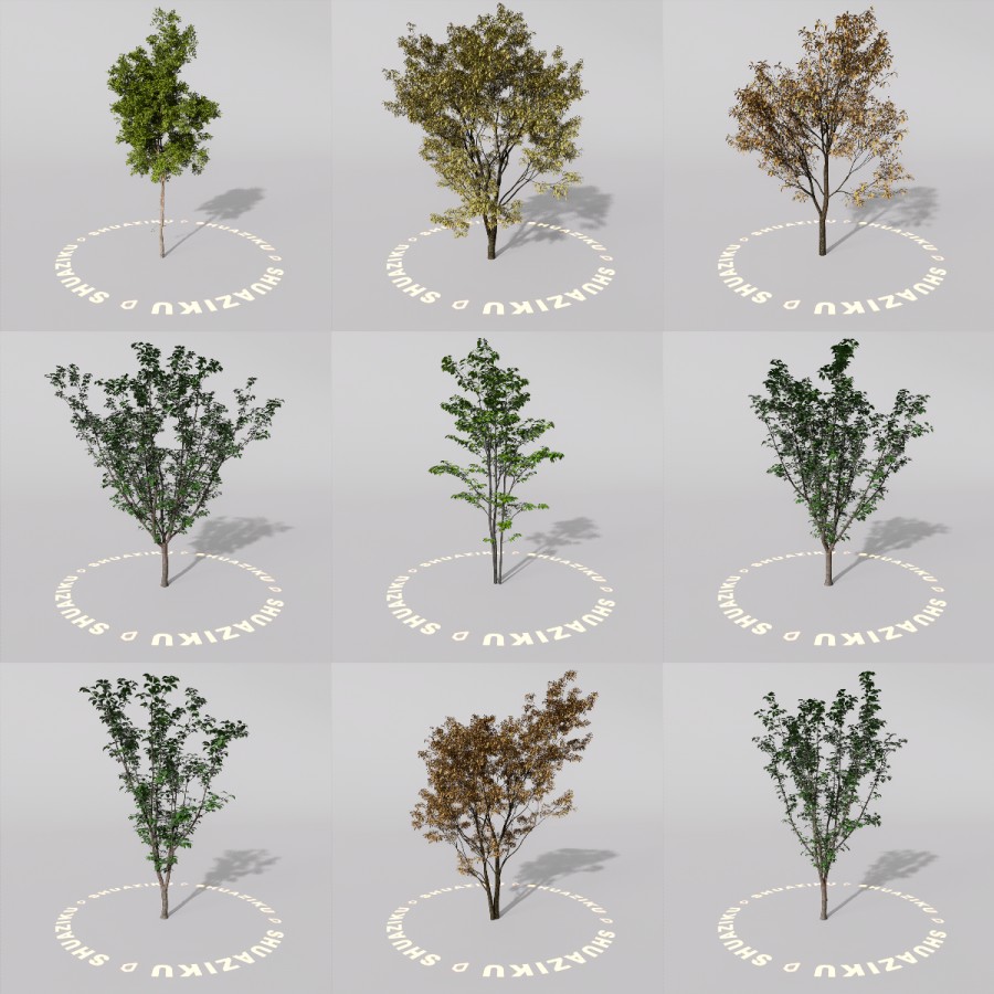 D5室外绿植树木模型20个-刷子库