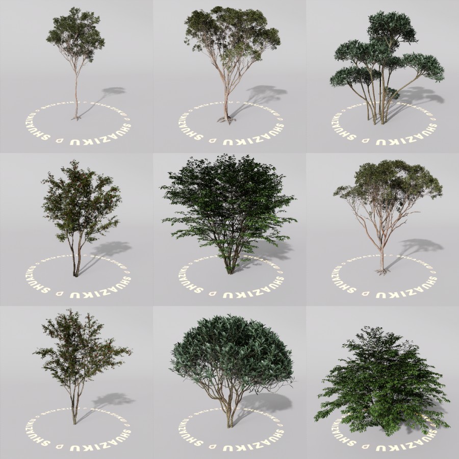 D5室外绿植树木模型20个-刷子库