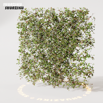图片[1]-D5渲染器室外绿植树木模型22个-刷子库