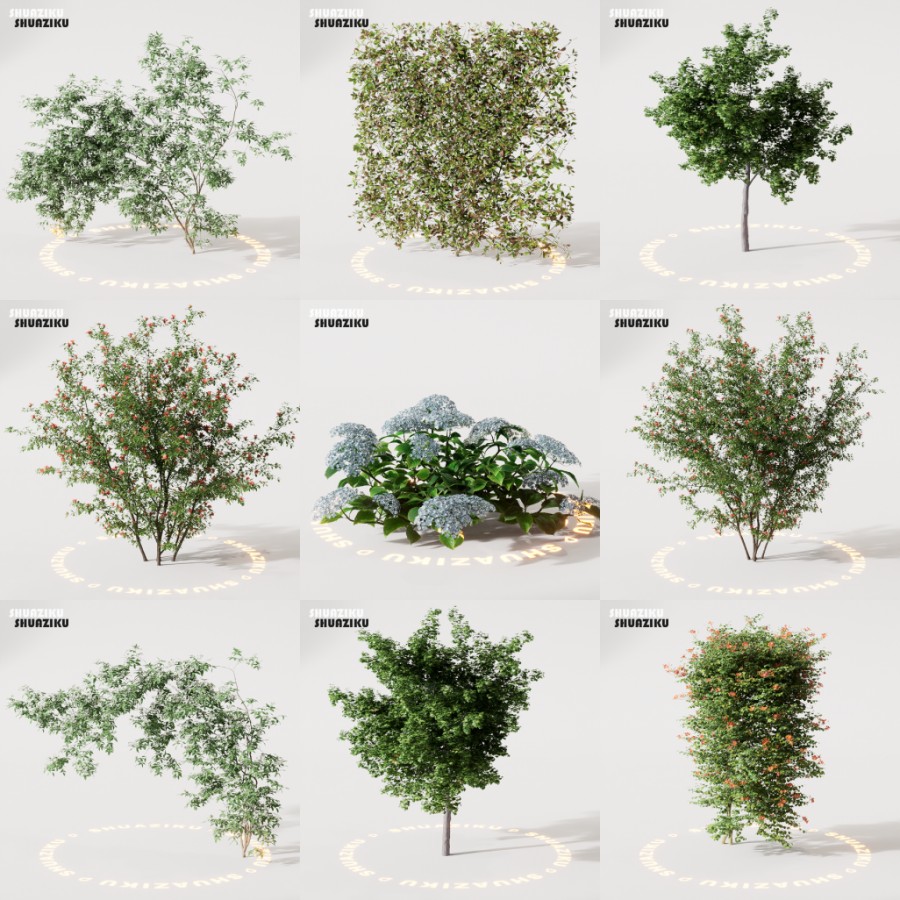 D5渲染器室外绿植树木模型22个-刷子库