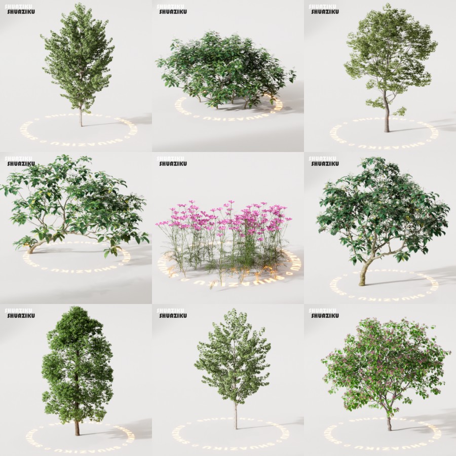 D5渲染器室外绿植树木模型22个-刷子库