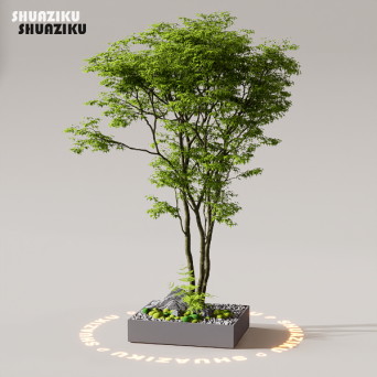 图片[2]-D5渲染器花池花坛组合植物模型10款-刷子库